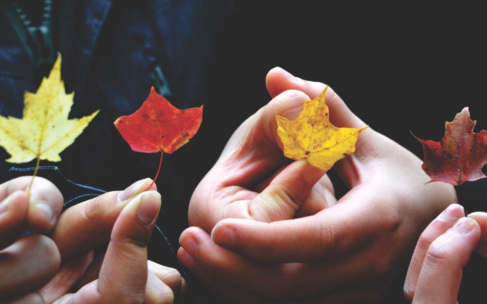 people holding small maple leaves
