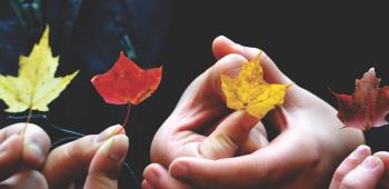 people holding small maple leaves
